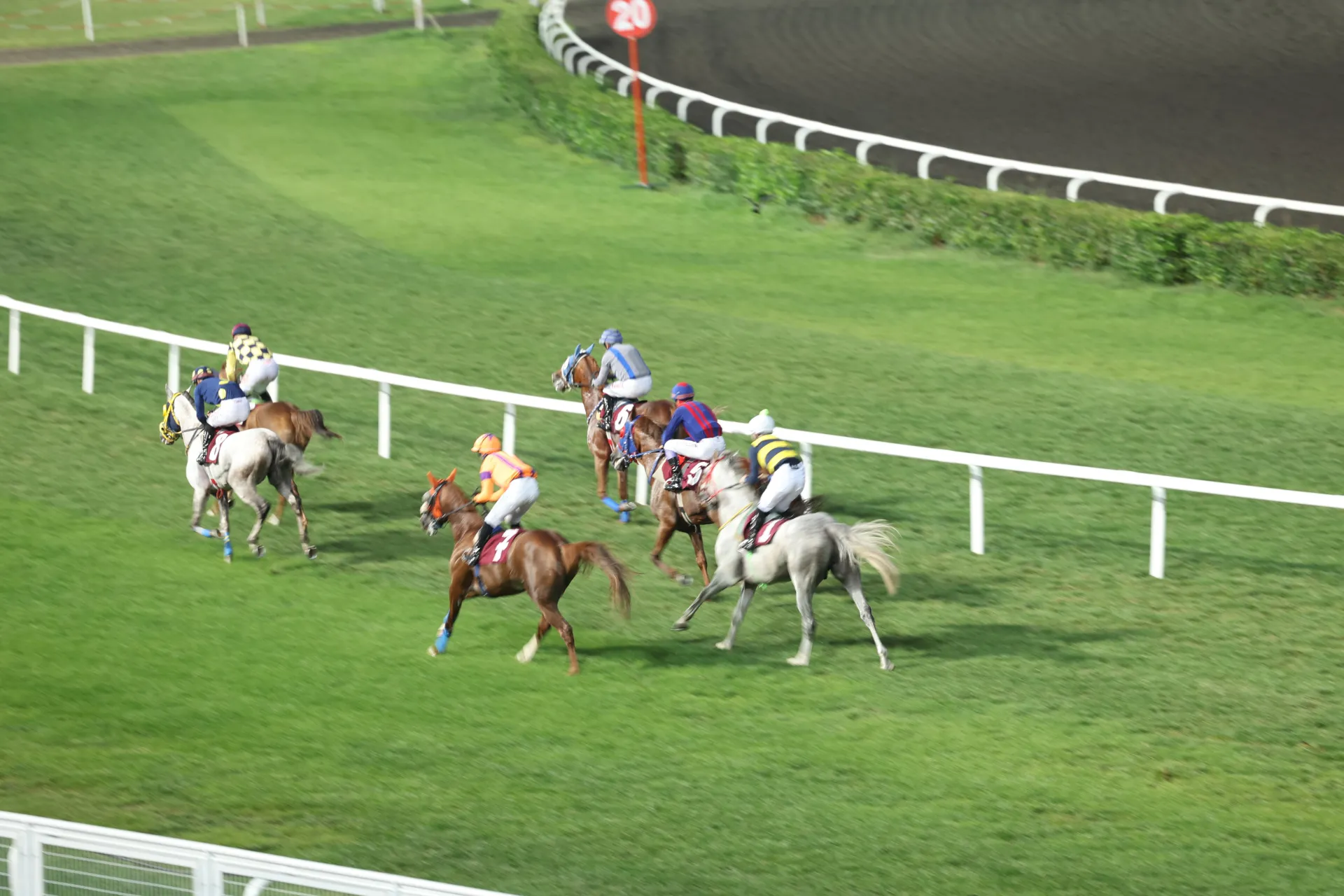 GELENEKSEL BAKIRKÖY BELEDİYE BAŞKANLIĞI KOŞUSU YAPILDI